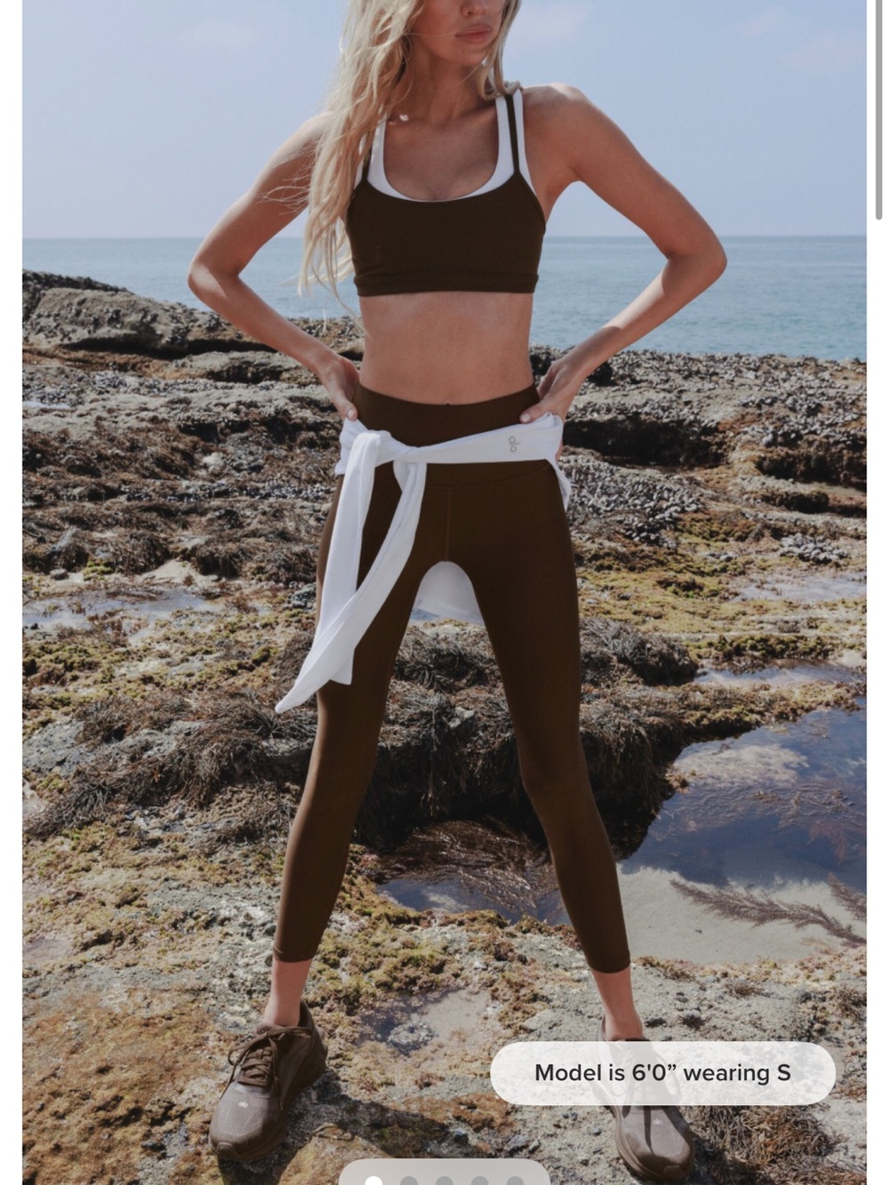ALO Yoga Brown High-Waist Leggings with White Accent